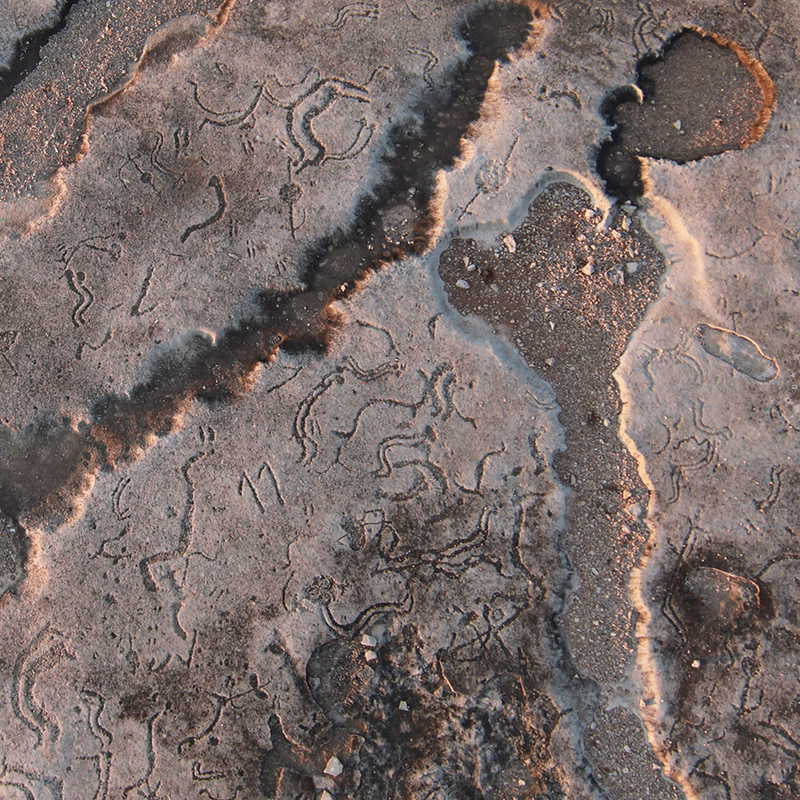 Illustration for article titled 36-Gigapixel Image Captures Ancient Petroglyphs in Texas